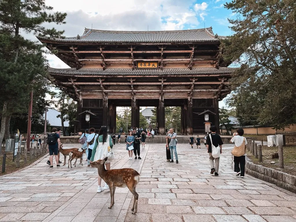 Nara Day Tour