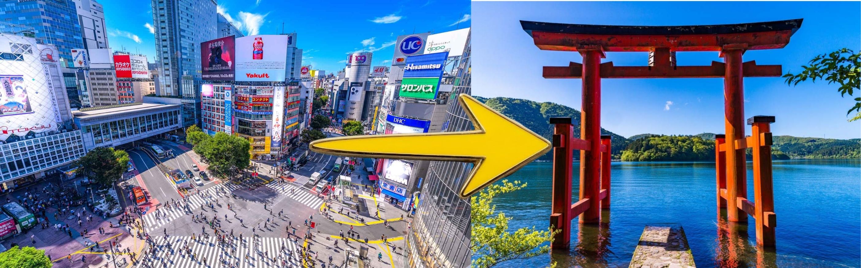 Tokyo to Hakone Transfer