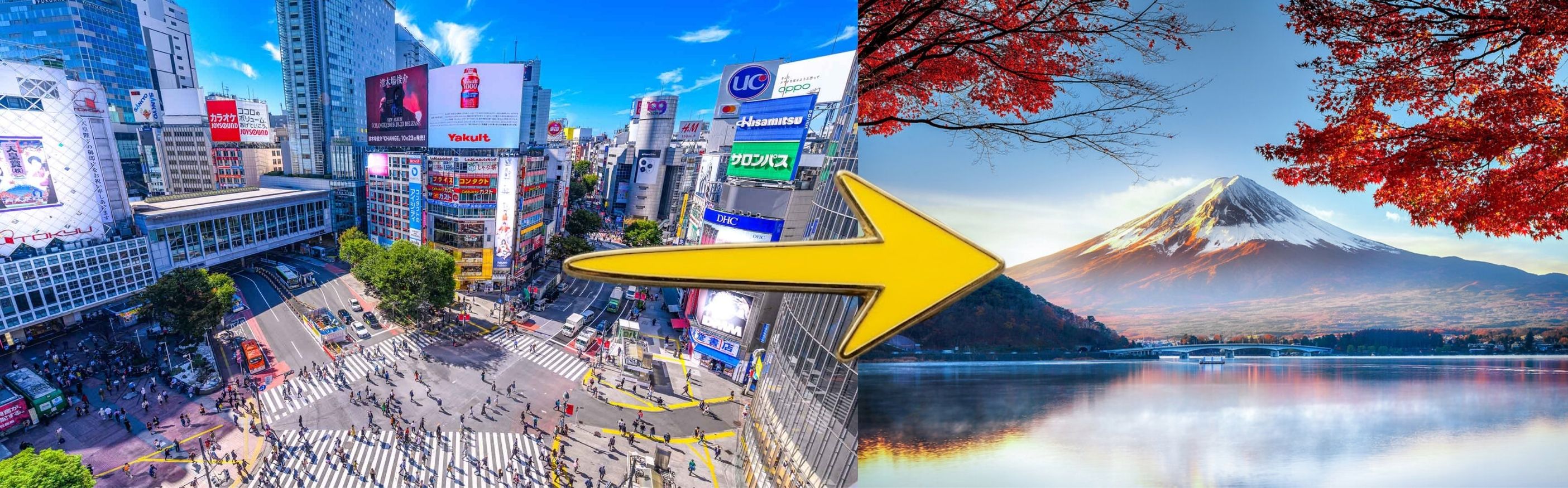 Tokyo to Mount Fuji Transfer