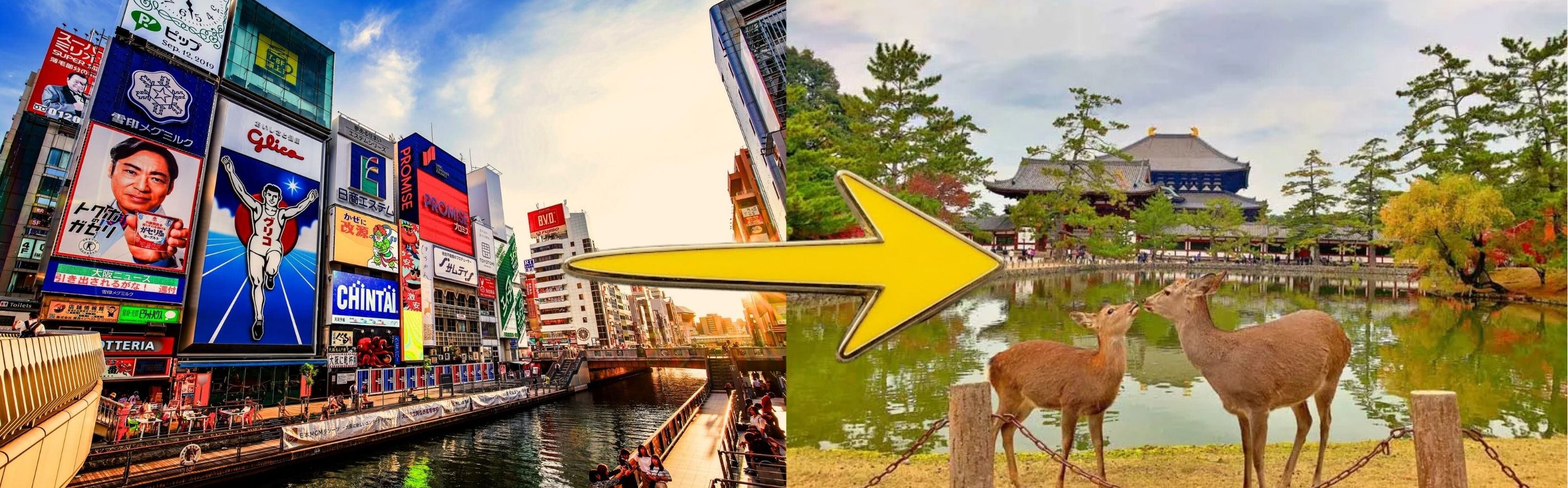 Osaka to Nara Transfer