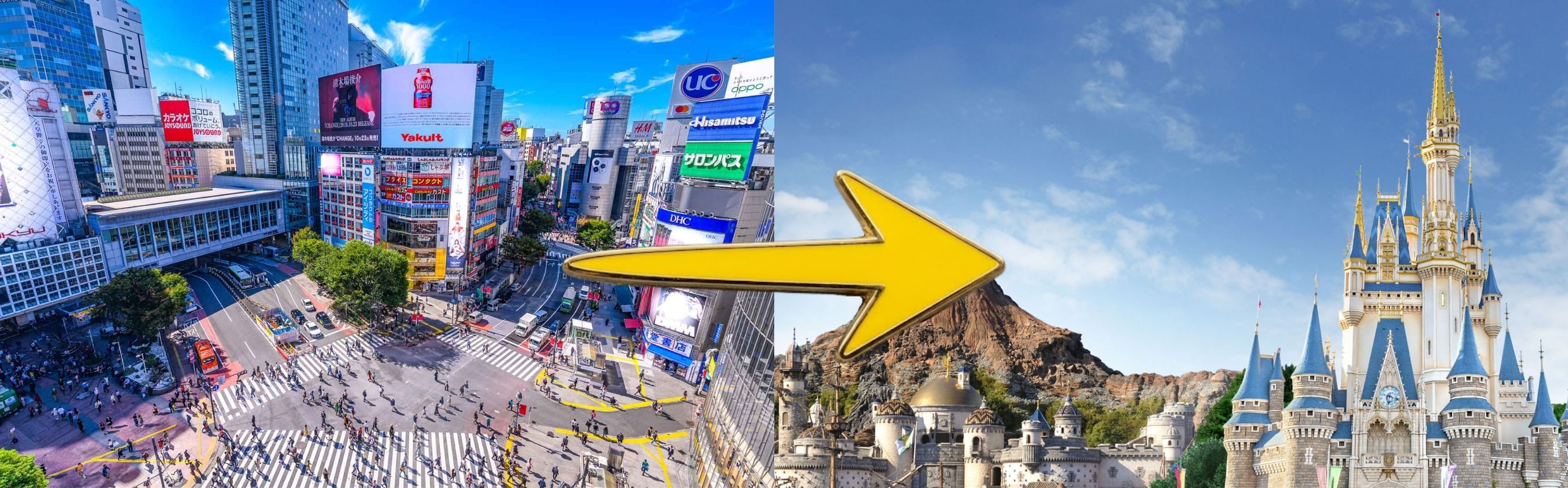 Tokyo to Disney Resort Transfer